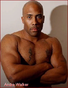 andre walker fashion